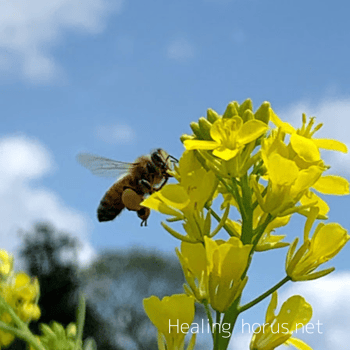 Photo by Arno Smit on Unsplash