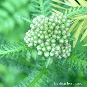 Photo by Arno Smit on Unsplash