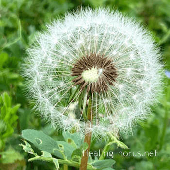 Photo by Arno Smit on Unsplash