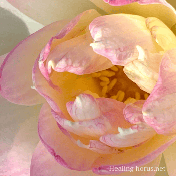 Photo by Arno Smit on Unsplash