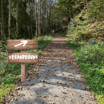 Coaching für Veränderung und Erfolg