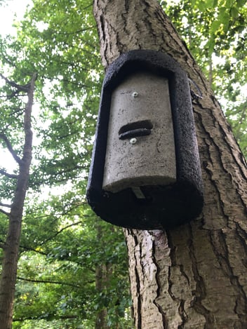 Fledermauskasten von unten