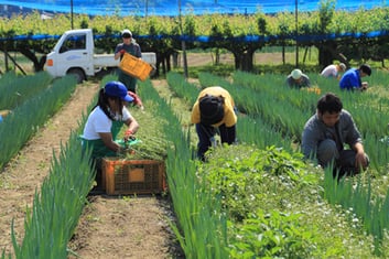 【アルファイノベーション】グループ連携