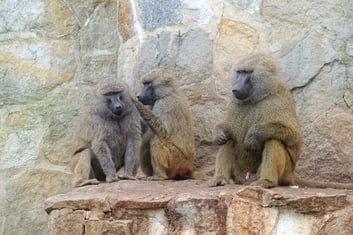 Der Versuchung widerstehen, alles rund zu machen