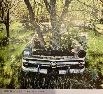 写真『LET MY PEOPLE GO SURFING』P414