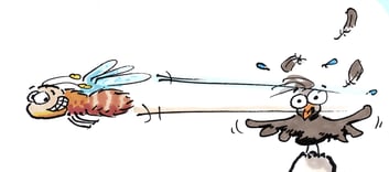 (C) M. Schäferjohann