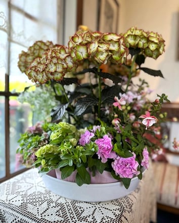 母の日プレゼント セレクト花苗セット