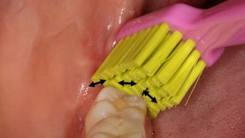 ParoSphère | Technique de Bass. Photo © ParoSphère.