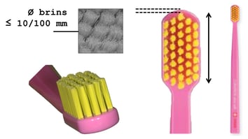 ParoSphère | Technique de Bass. Photo © ParoSphère.