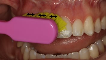 ParoSphère | Technique de Bass. Photo © ParoSphère.