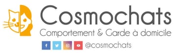 logo cosmochats