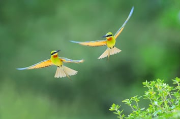 La psicoterapia: come funziona