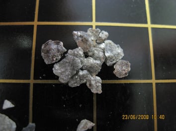 Microscopic photograph (length=2mm)