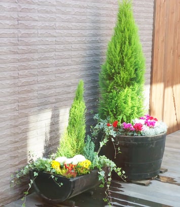 寄せ植え：中庭