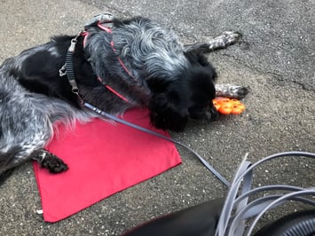 Im Gartenrestaurant reicht ein kleines, dünnes Target-Tuch, das gut in die Tasche passt.