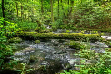 Fluss im natürlichen Verlauf (Symbolbild; Foto: pixabay.com / FrankGeorg)