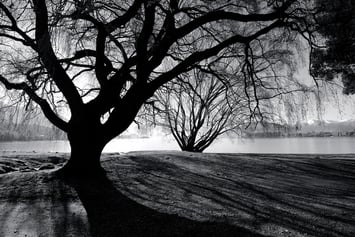 CC BY-NC 2.0 by Ville Miettinen