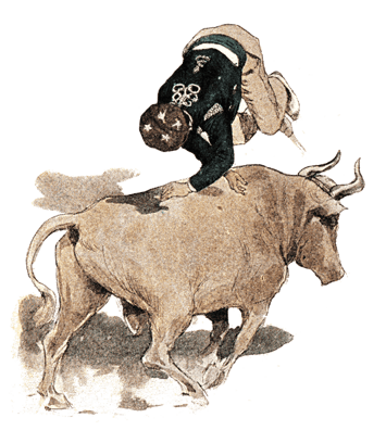 orthe, landes, aquitaine, peyrehorade, course landaise, ganaderia, sauteur, cordier, talanquère, vache