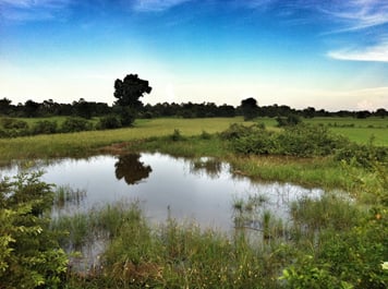 #KambodschaLive Tag 5