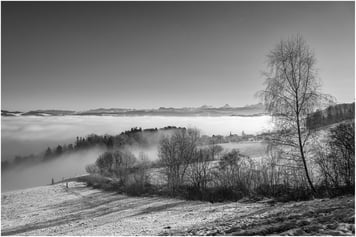 Unterwegs auf den Gurten (Hausberg der Stadt Bern) - 16.01.2022