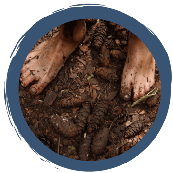 Baden mal anders…was ist eigentlich dieses „Waldbaden“?