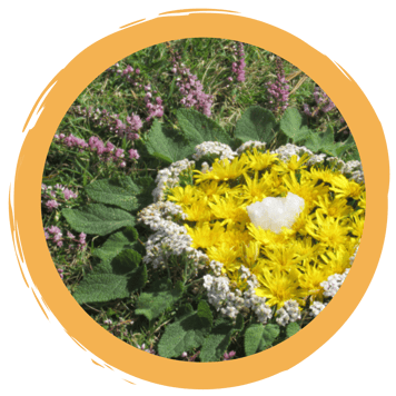 LandArt - Kunstwerke in und mit der Natur