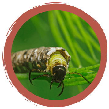 Memospiel Wassertiere