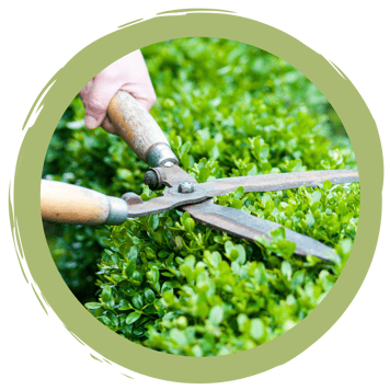 Mehr Nachhaltigkeit in der Hecke