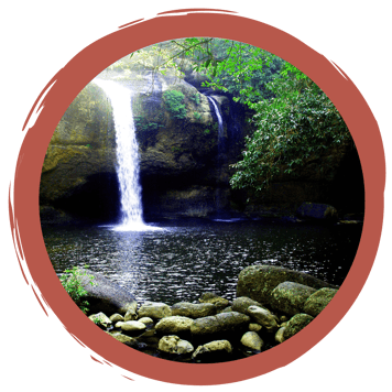 Wasser-Abschluss-Quiz