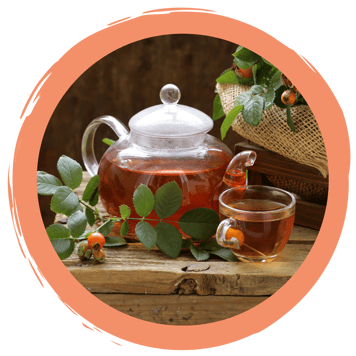 Wildfrüchte-Verkostung