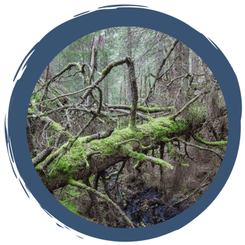 Wieso räumt hier niemand auf?