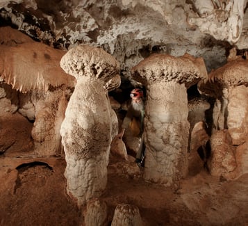 Cueva Santa Catalina