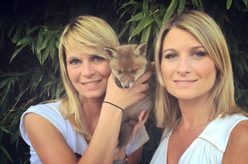 elodie ageron sandrine arcizet renard d8 c8