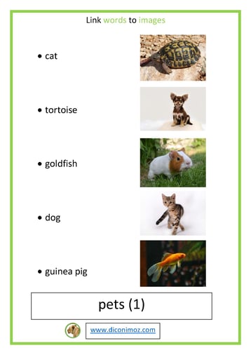 link words to images pets lesson