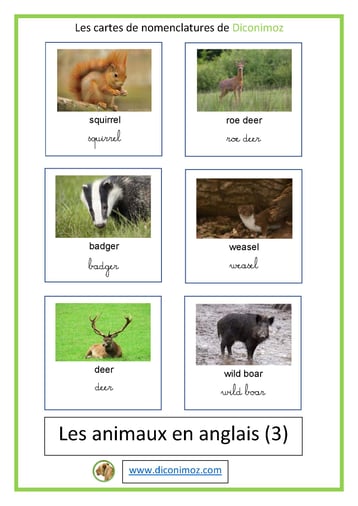 cartes de nomenclatures le nom des animaux en anglais animal card montessor