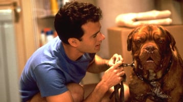 image du film avec tom hanks turner et hooch chien race dogue de bordeaux