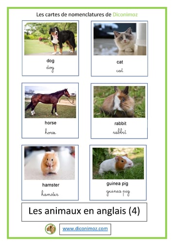 cartes de nomenclatures le nom des animaux en anglais animal card montessor