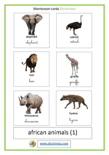 montessori cards african animals transparent for school