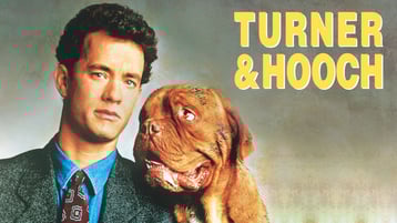 dogue de bordeaux affiche turner et hooch