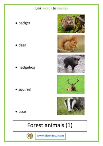 link words to images forest animals