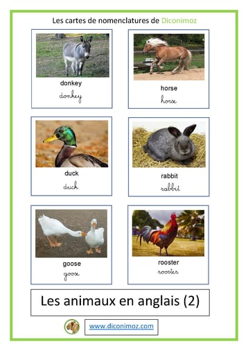 cartes de nomenclatures le nom des animaux en anglais animal card montessor