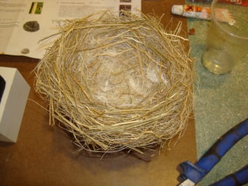 recreación de un nido, para exposición en el Castillo de Montemayor