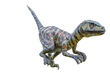 Image animaux detourée transparent sur fond blanc velocyraptor png