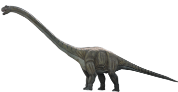 Image animaux detourée transparent sur fond blanc brachiosaure png