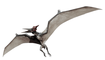 Image animaux detourée transparent sur fond blanc pterodacyle png