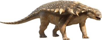 Image animaux detourée transparent sur fond blanc enquilosaure png