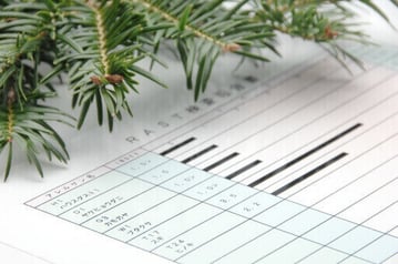 アレルギー検査項目　スギ　ヒノキ　陽性