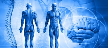 Ostéopathe spécialisé en phoniatrie dans le centre de Lyon