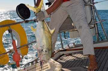 Yuril, Kuba, Januar 2013