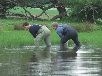 Synchronwaten als neue Frühjahrsdisziplin beim NABU - auf der Suche nach Laichballen des Laubfrosches.